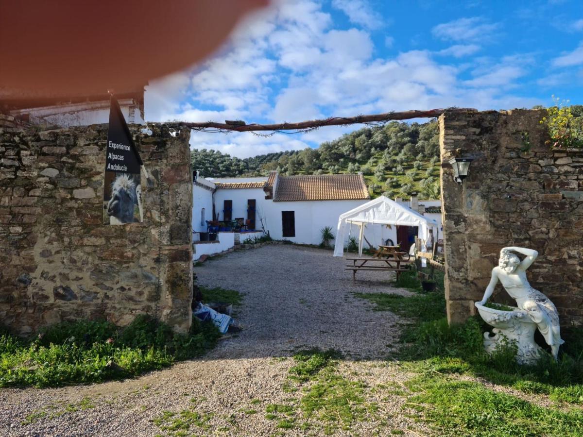Experience Alpacas In Andalucia Apartment Cordoba Luaran gambar