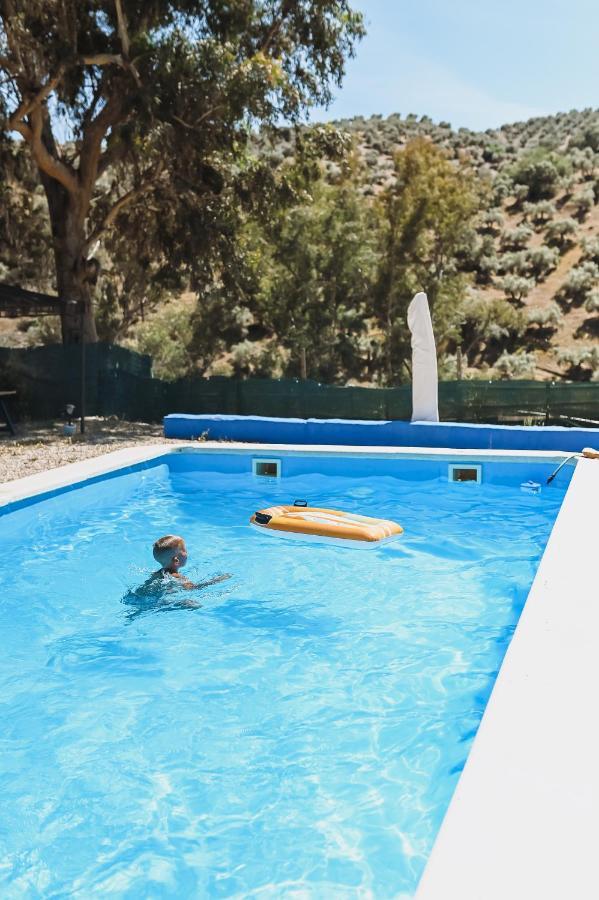 Experience Alpacas In Andalucia Apartment Cordoba Luaran gambar