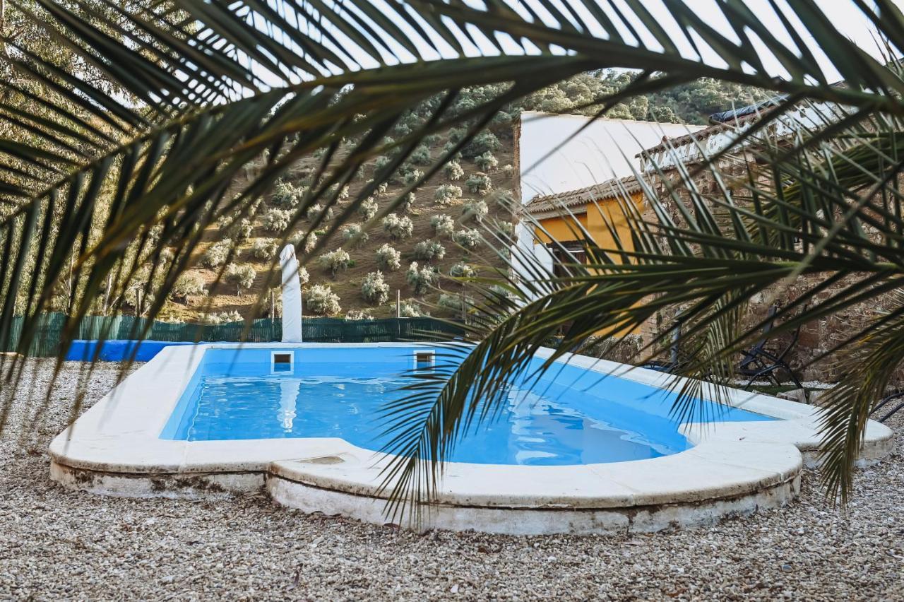 Experience Alpacas In Andalucia Apartment Cordoba Luaran gambar