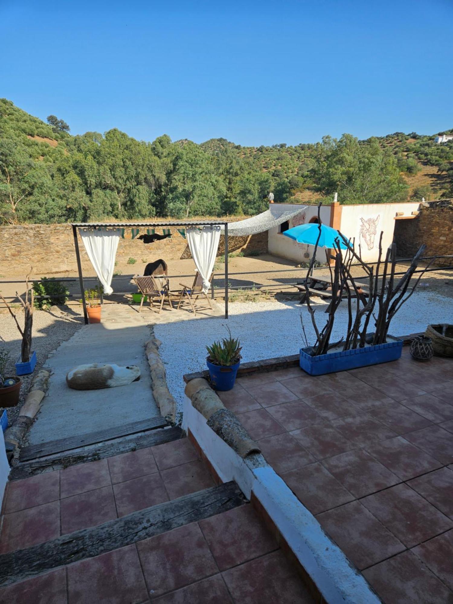 Experience Alpacas In Andalucia Apartment Cordoba Luaran gambar
