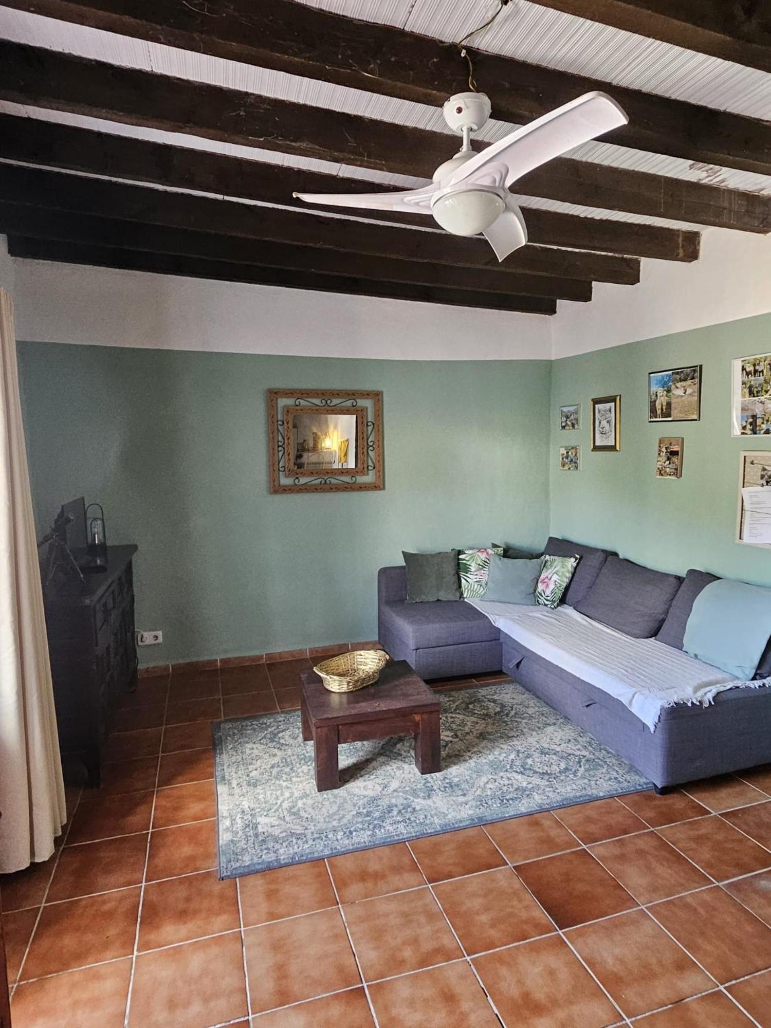 Experience Alpacas In Andalucia Apartment Cordoba Luaran gambar