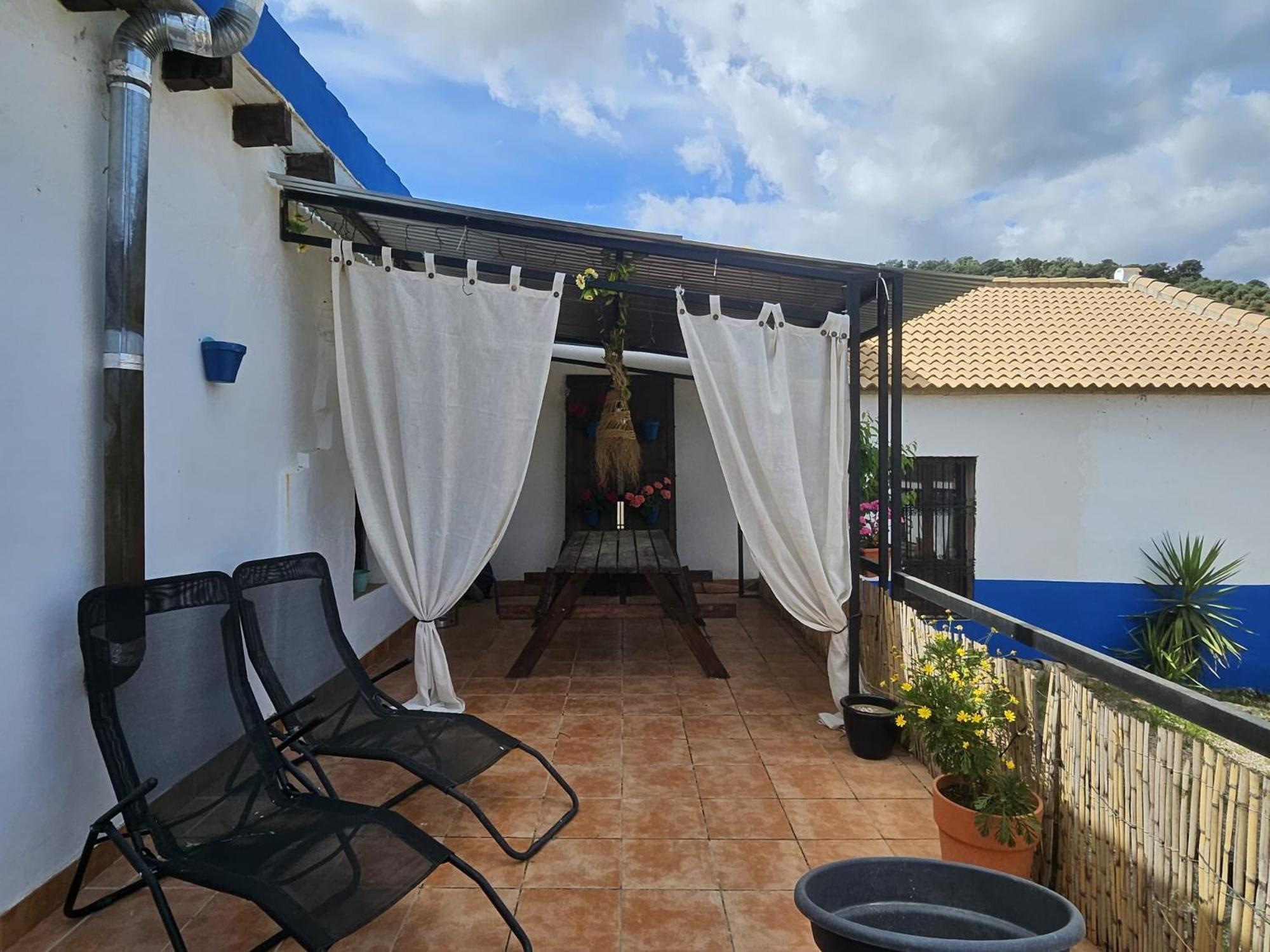 Experience Alpacas In Andalucia Apartment Cordoba Luaran gambar