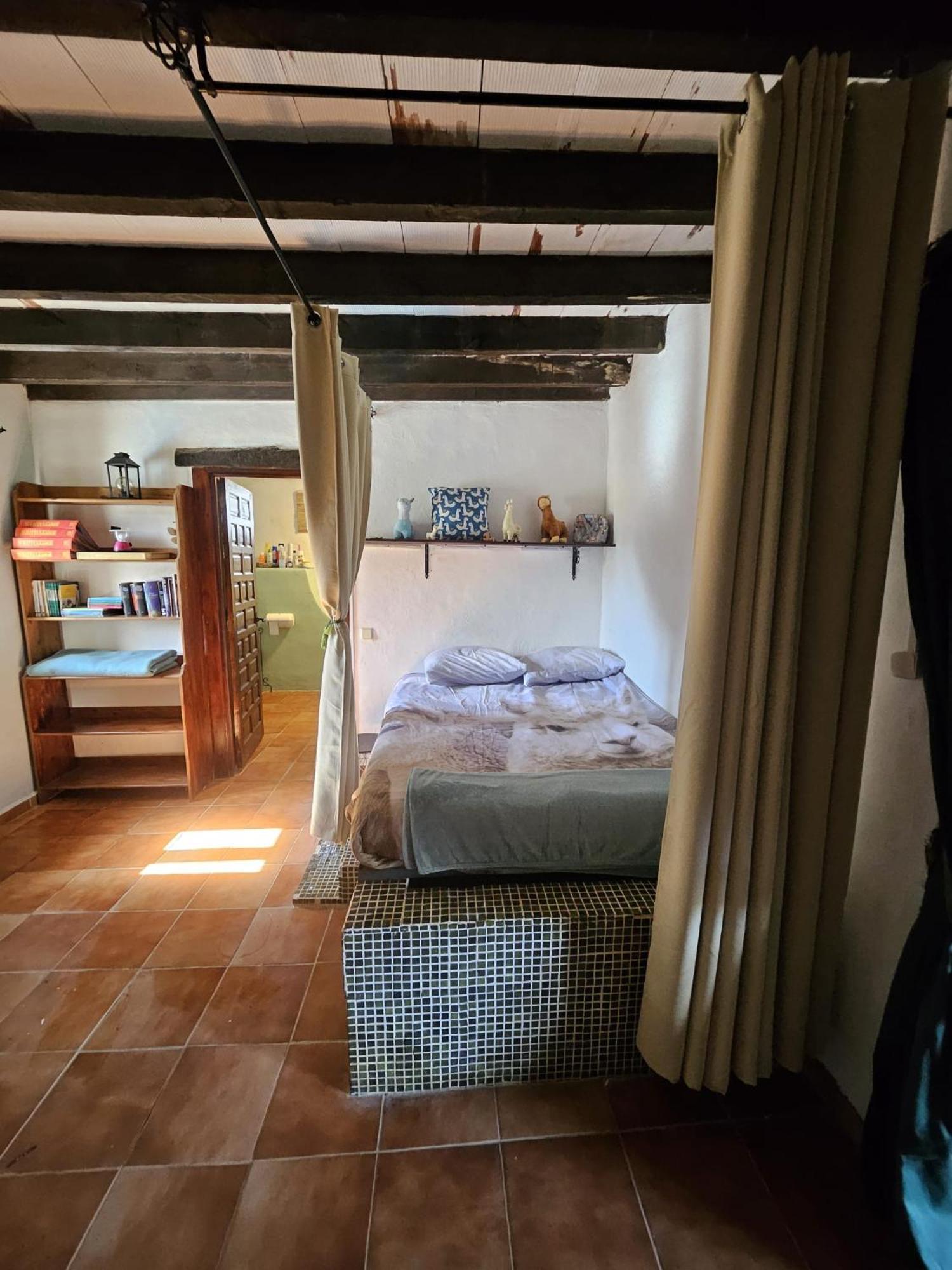 Experience Alpacas In Andalucia Apartment Cordoba Bilik gambar