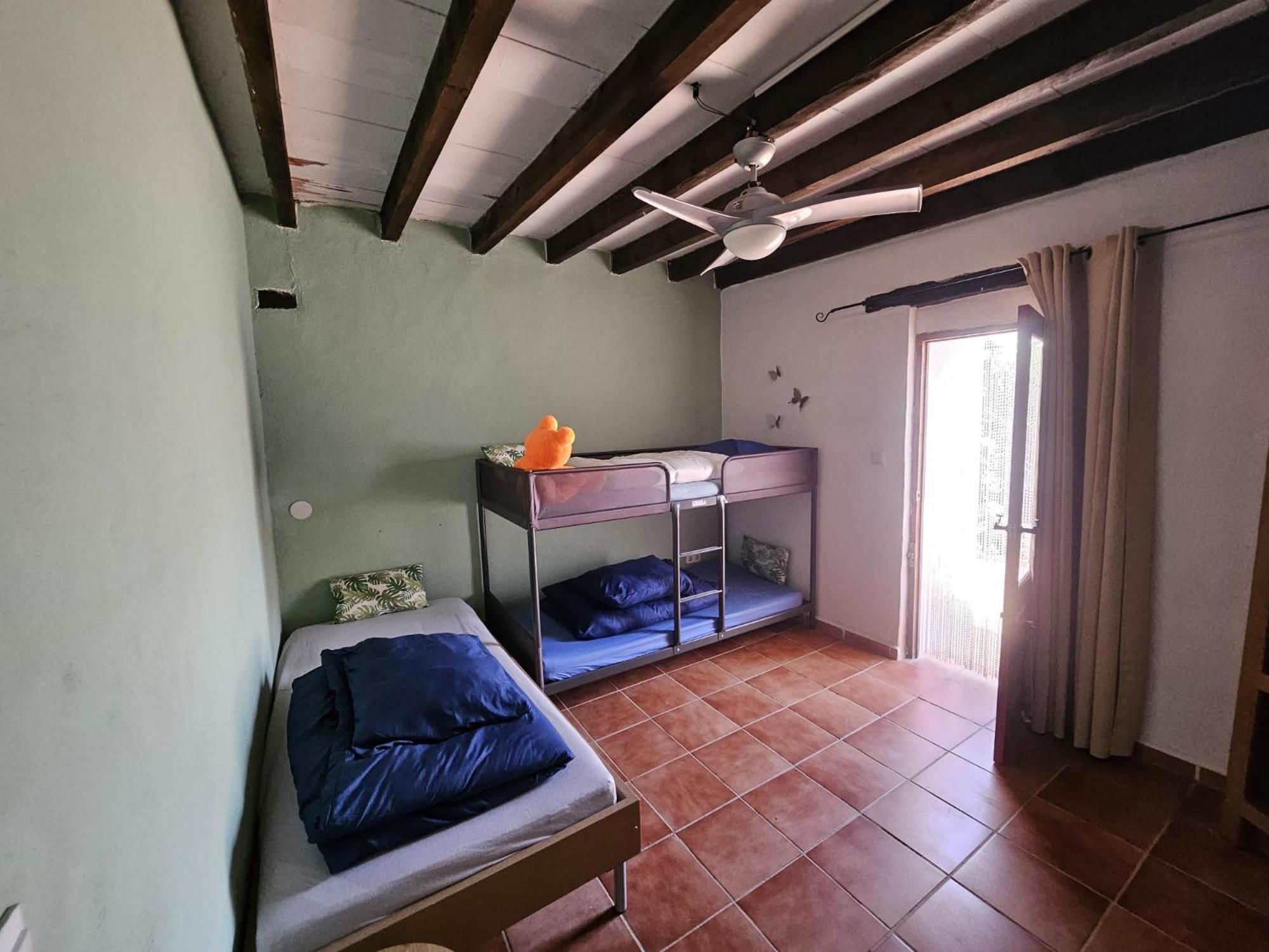 Experience Alpacas In Andalucia Apartment Cordoba Bilik gambar