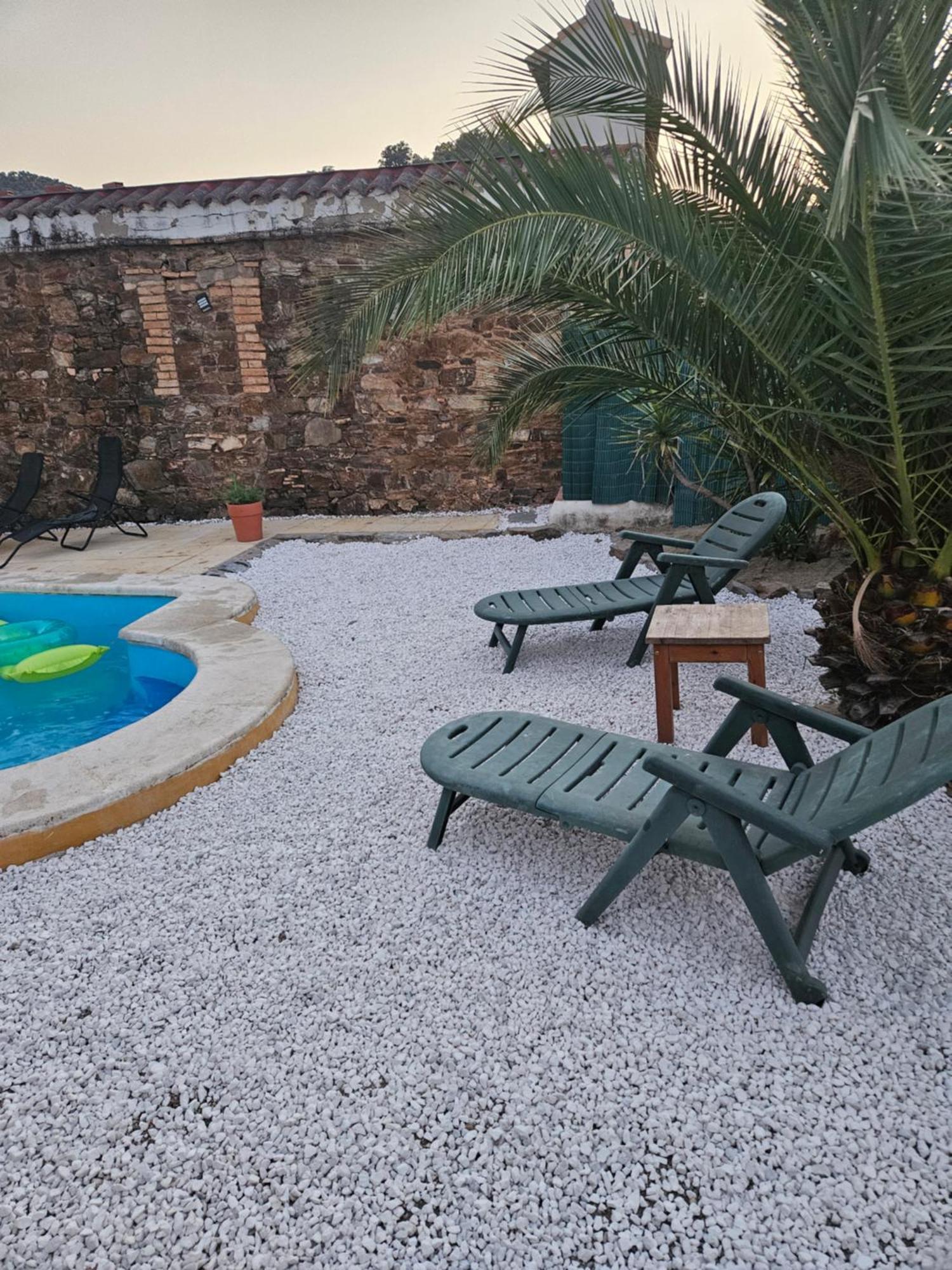 Experience Alpacas In Andalucia Apartment Cordoba Bilik gambar