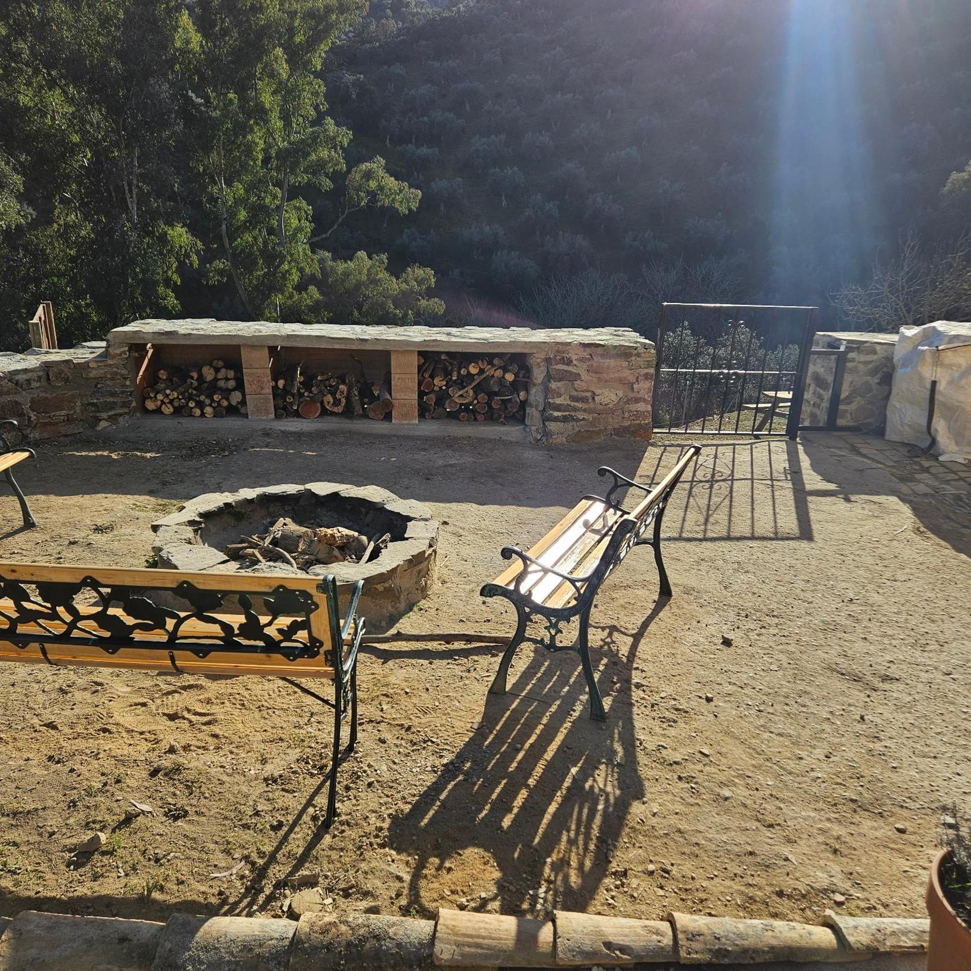 Experience Alpacas In Andalucia Apartment Cordoba Luaran gambar