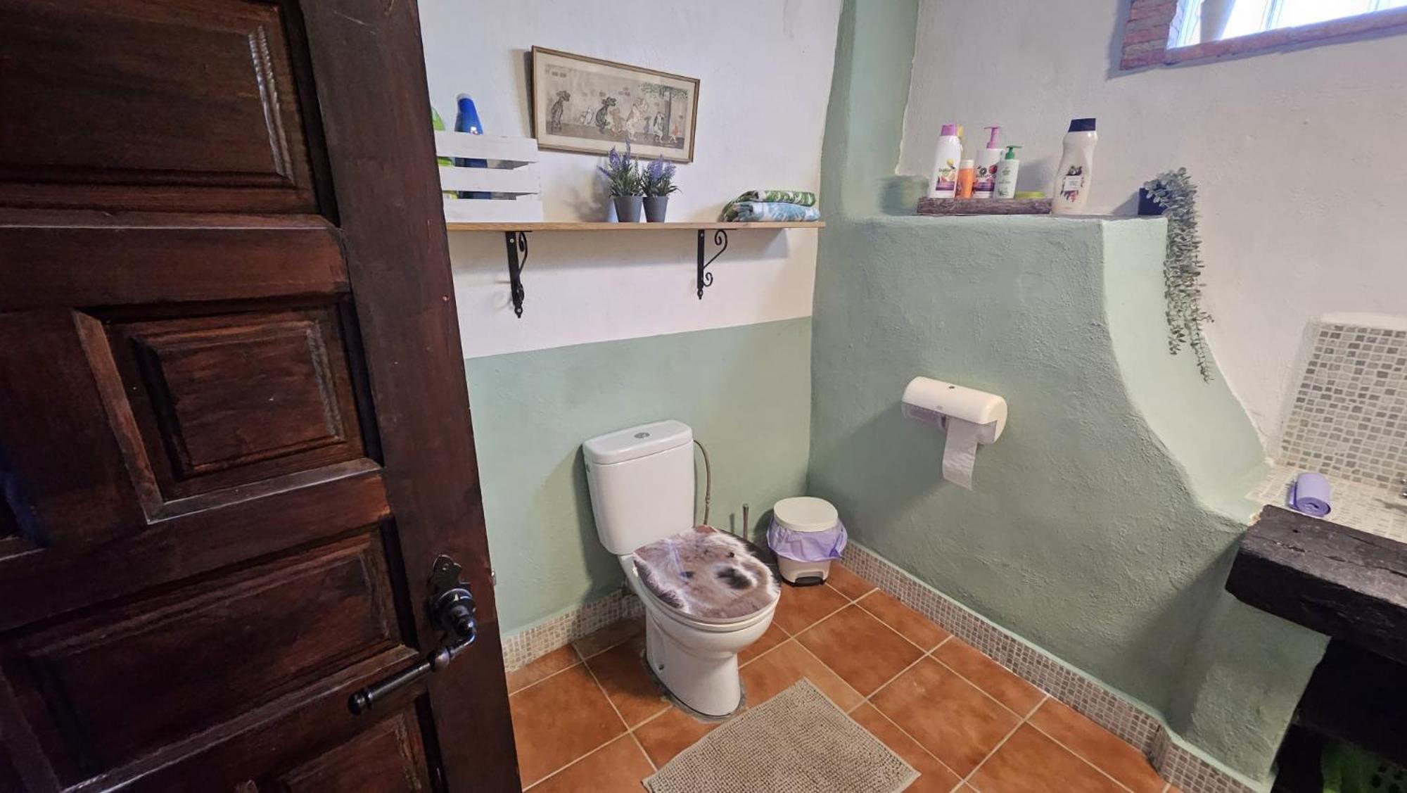 Experience Alpacas In Andalucia Apartment Cordoba Luaran gambar